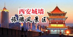 欧美女人公交操逼中国陕西-西安城墙旅游风景区